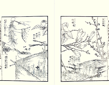 Yuhei Nakayama book